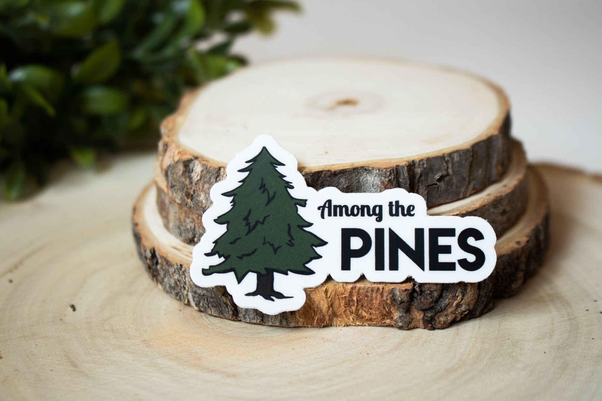 small pinetree sticker with full pinetree illustration in green with black text "among the pines"