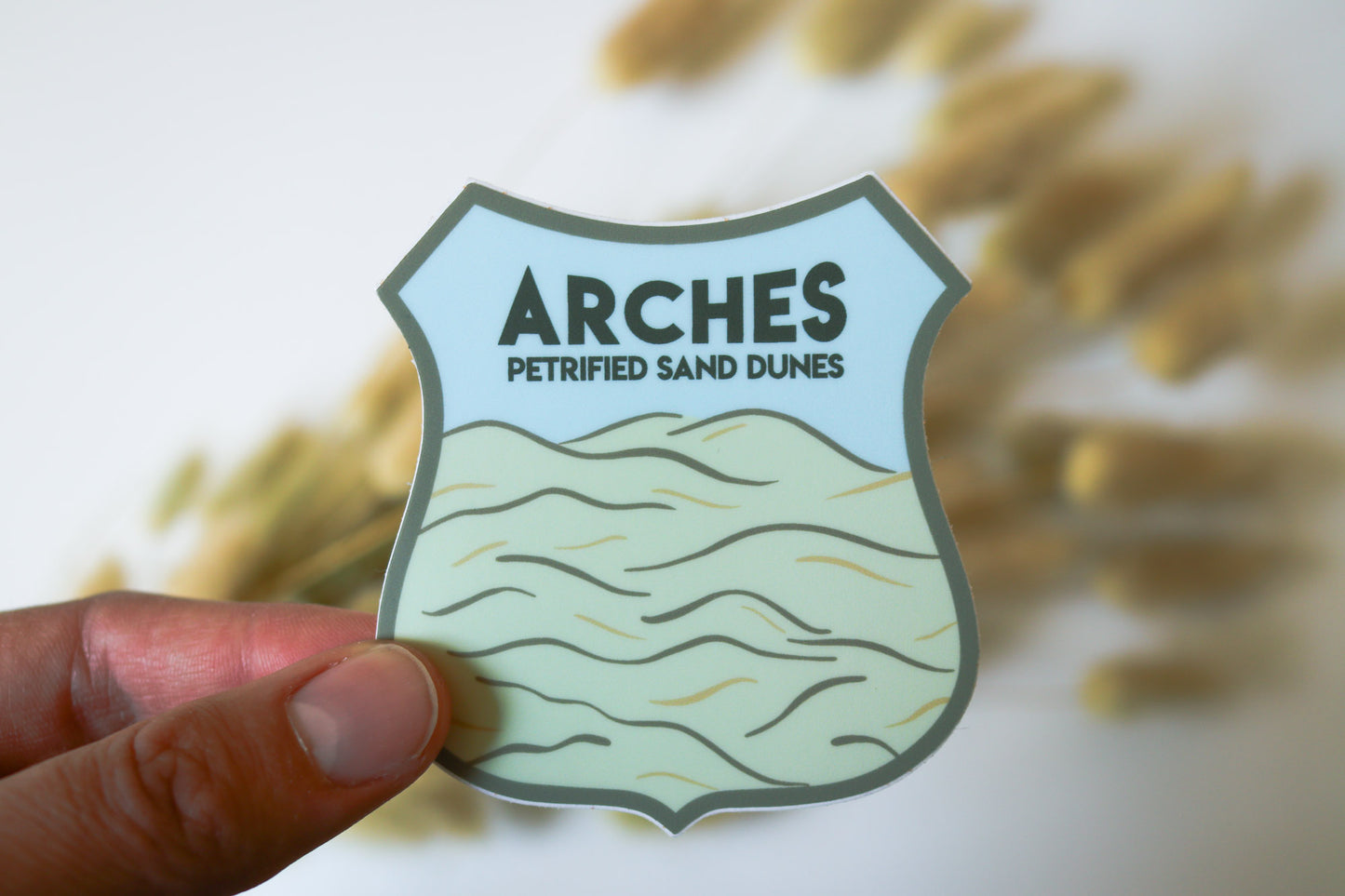 Arches National Park Petrified Sand Dunes Sticker