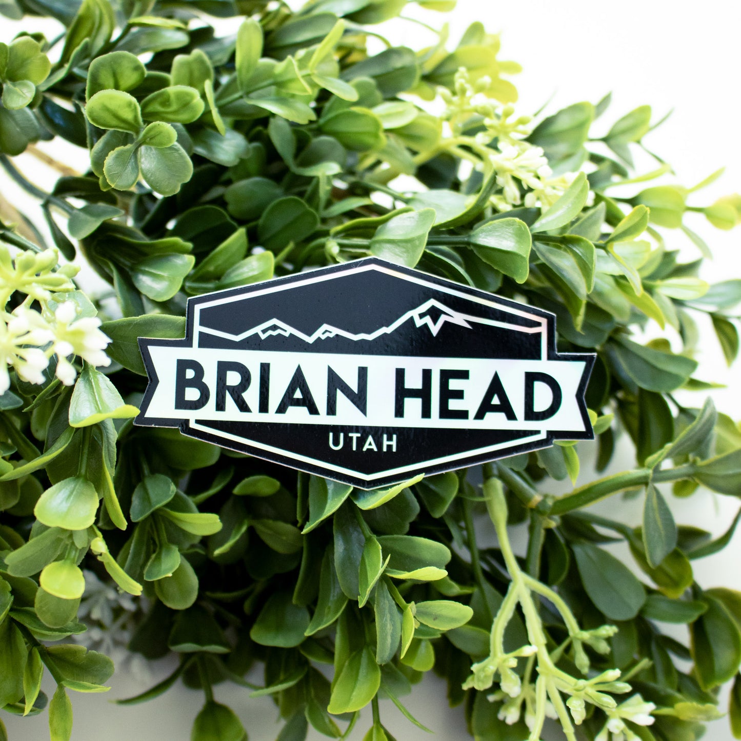 Brian Head Utah Holographic Sticker