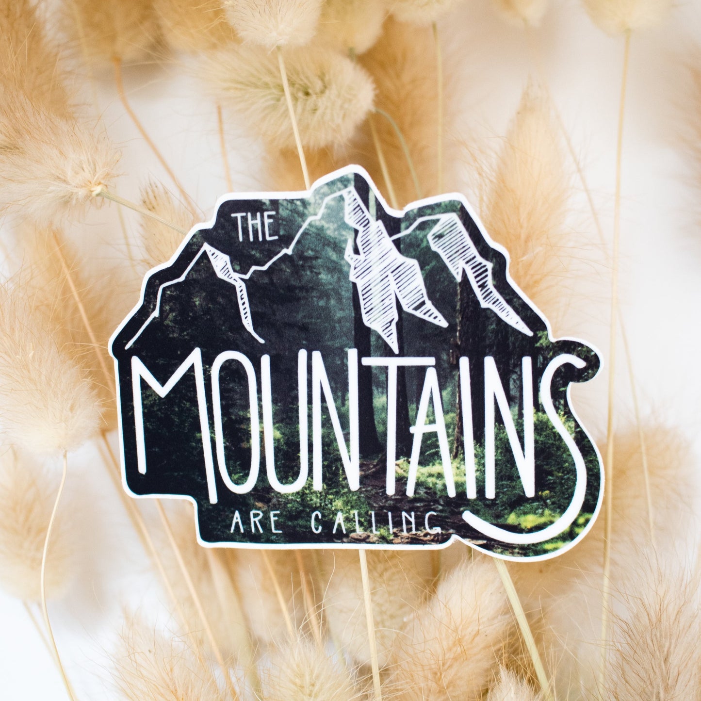 The mountains are calling quote