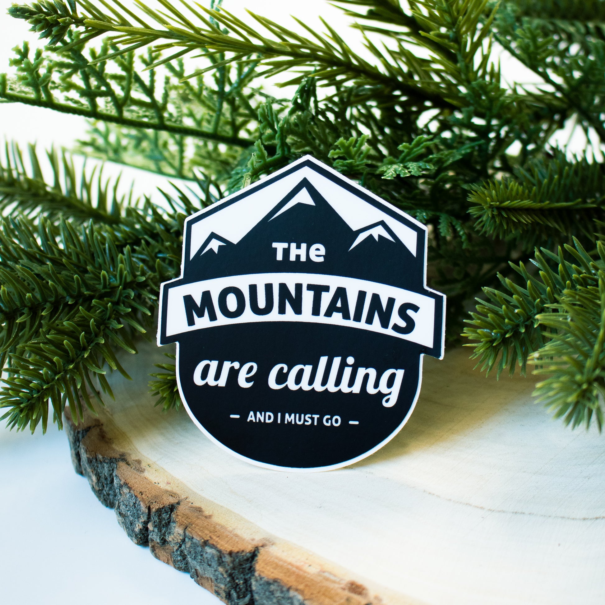 john muir the mountains are calling