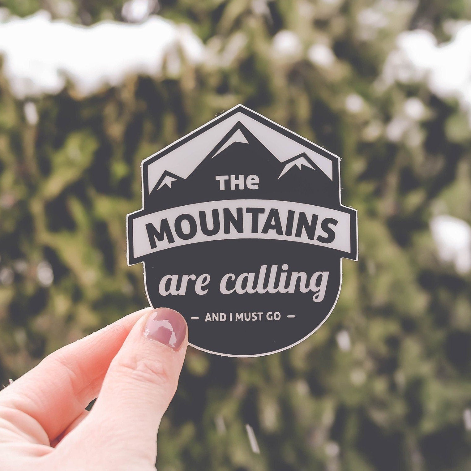 The Mountains are Calling and I must Go