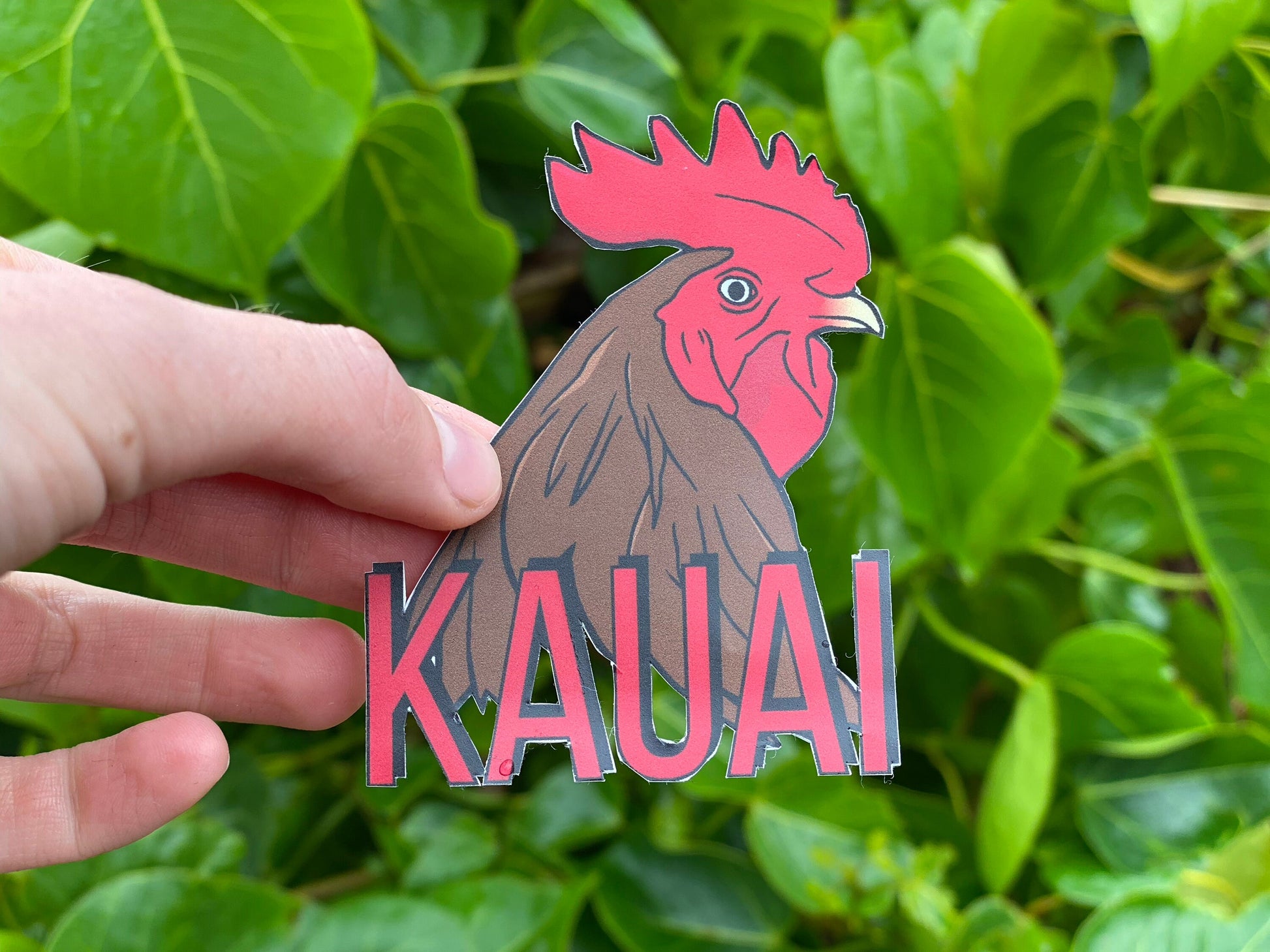 Kauai Bumper Sticker